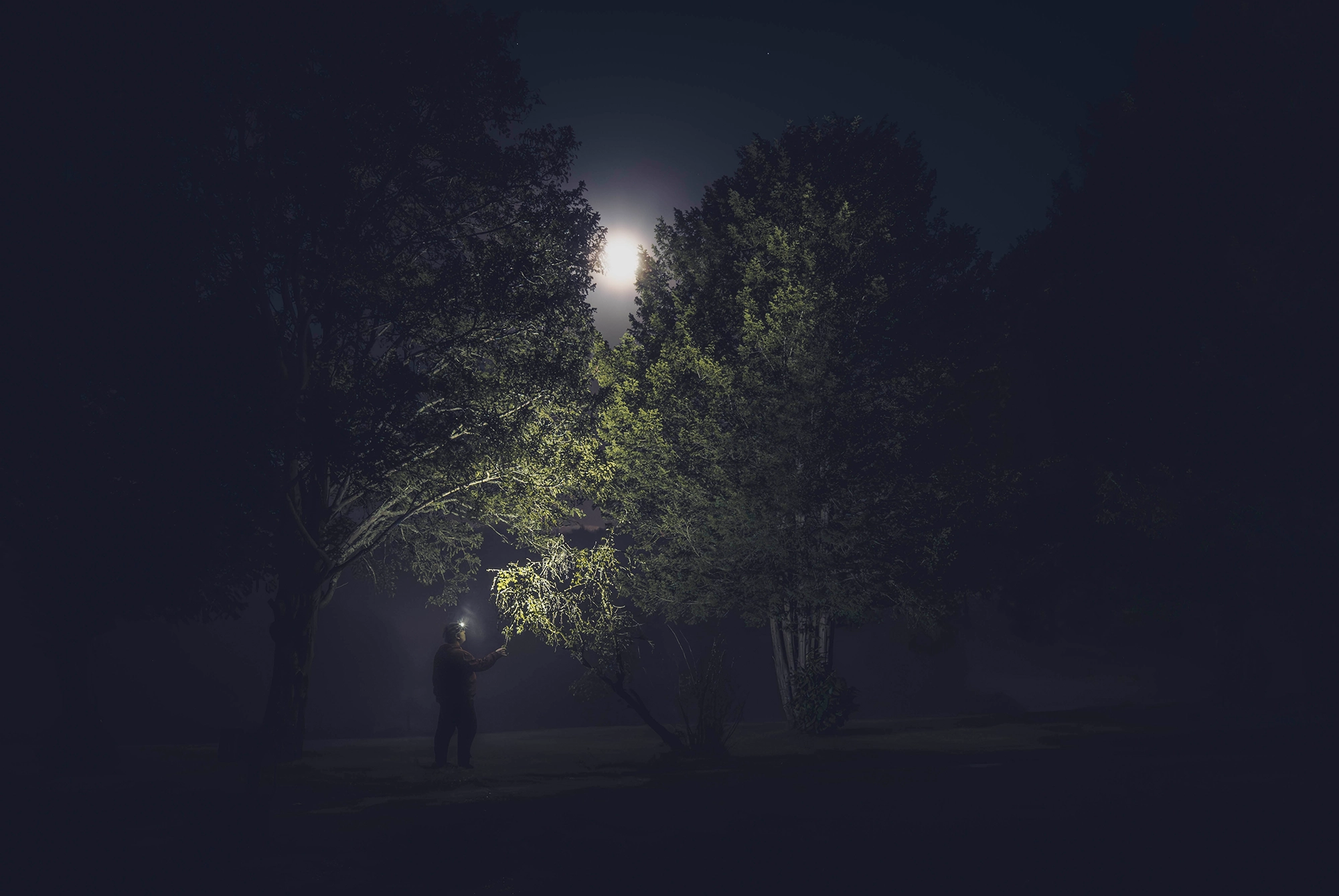 Ambiance photographie